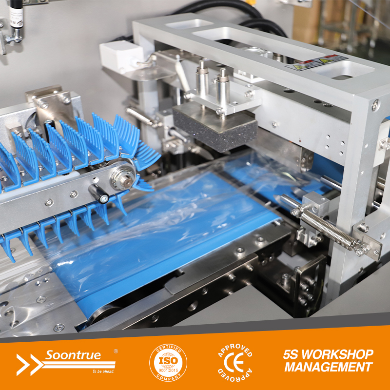 SW80E Box Motion Flow packaging Machine