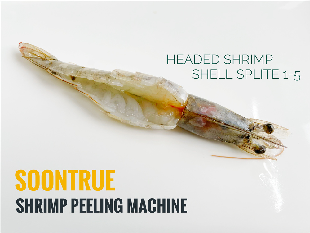 HB320 Shrimp peeling and deveining machine