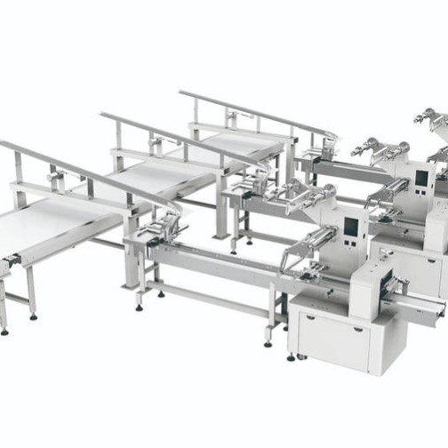 Automatic Food Packing Machine