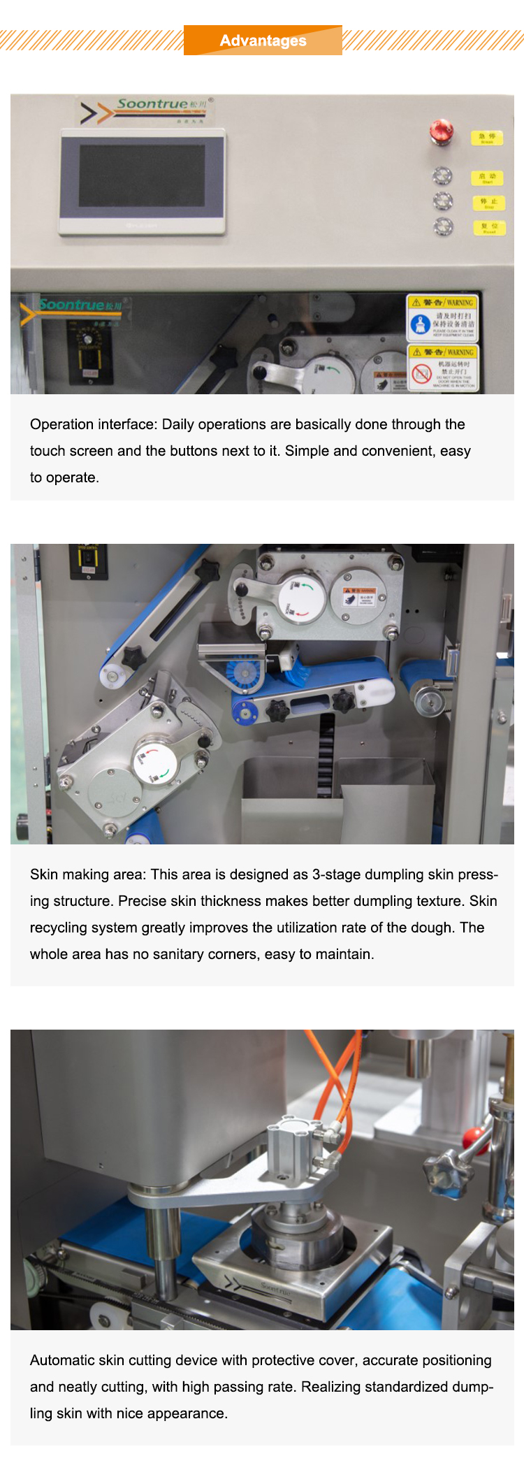 dumpling machine supplier