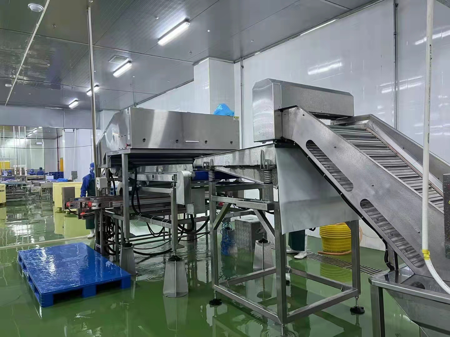 SDL100A Automatic Shrimp Deheading Processing Line