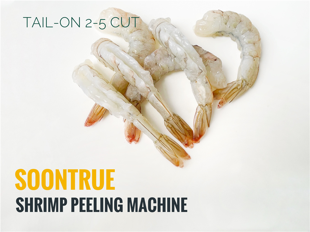 HB320 Shrimp peeling and deveining machine