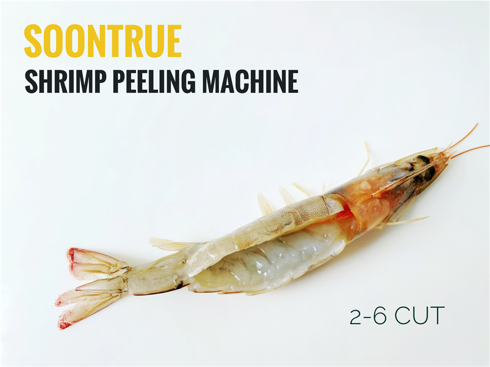 HB320 Shrimp peeling and deveining machine