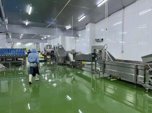 automatic shrimp deheading machines